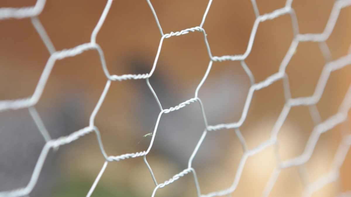 Does chicken wire stop gophers