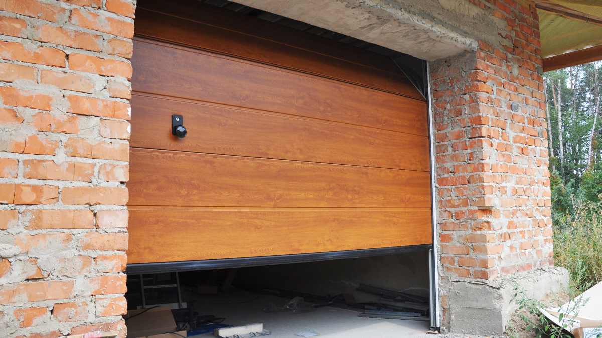 why do birds fly into your garage