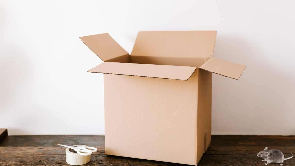 best storage solutions to keep mice out