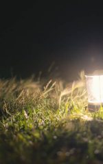 lights that keep mice away