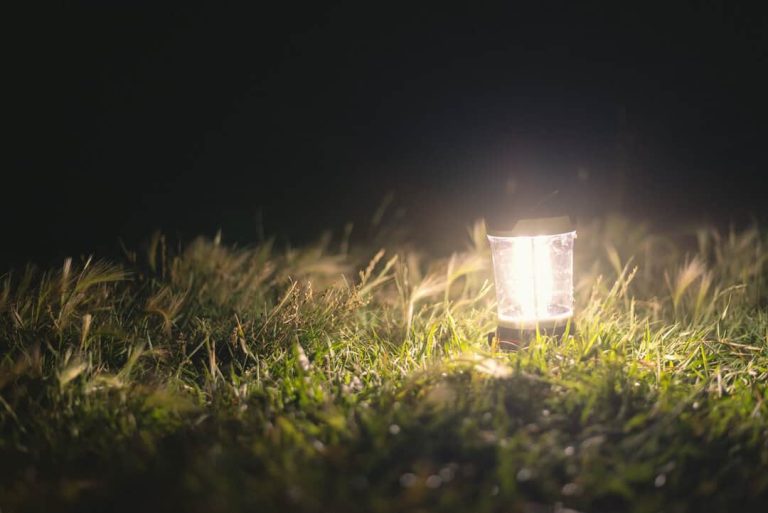 lights that keep mice away