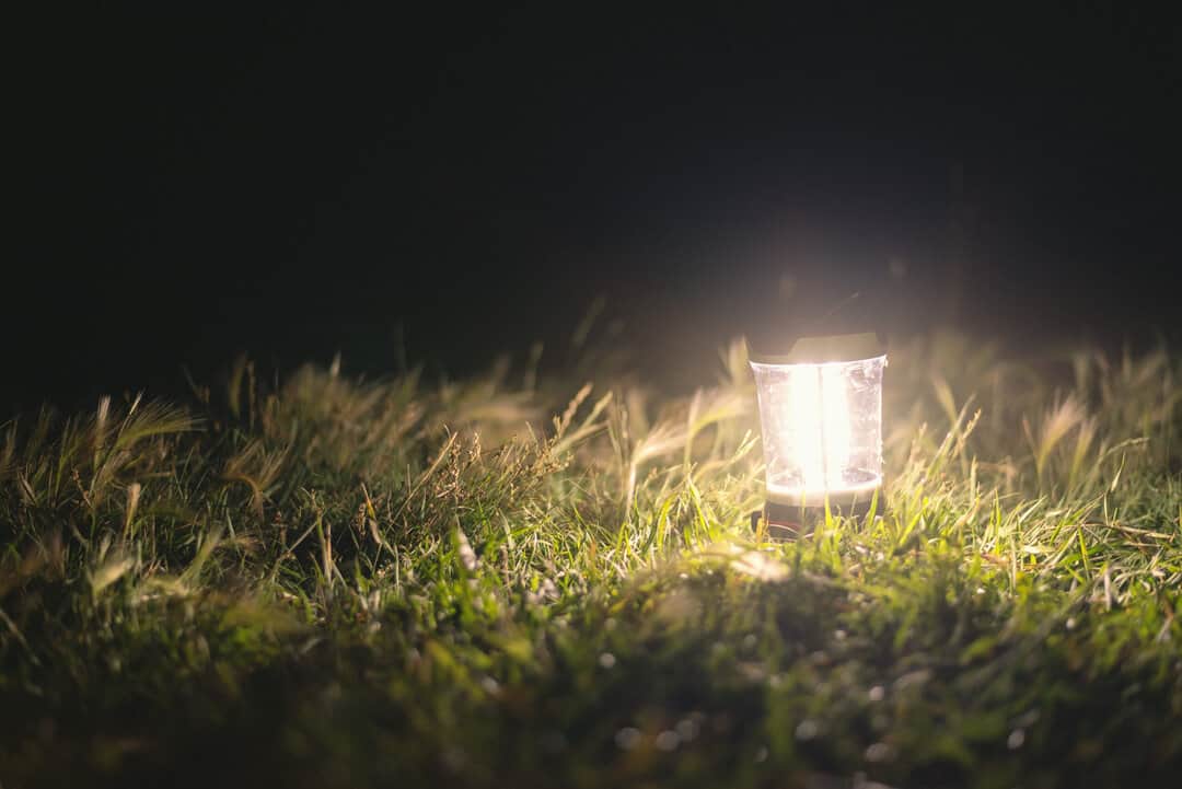 lights that keep mice away