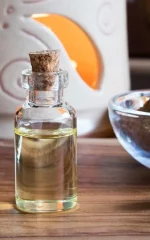how to keep mice away using cinnamon oil