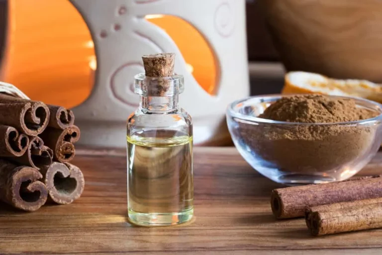 how to keep mice away using cinnamon oil