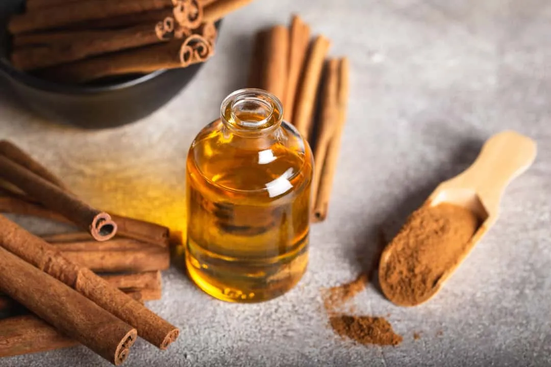 how to keep mice away using cinnamon oil