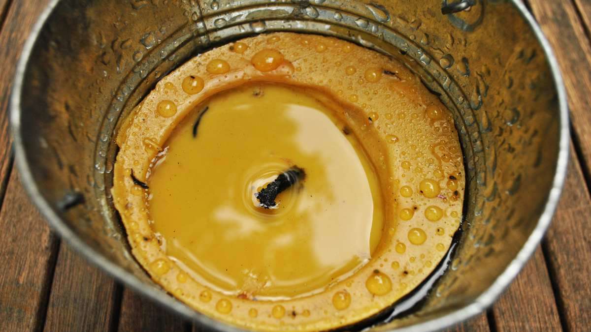 how to use citronella candles to keep mice away