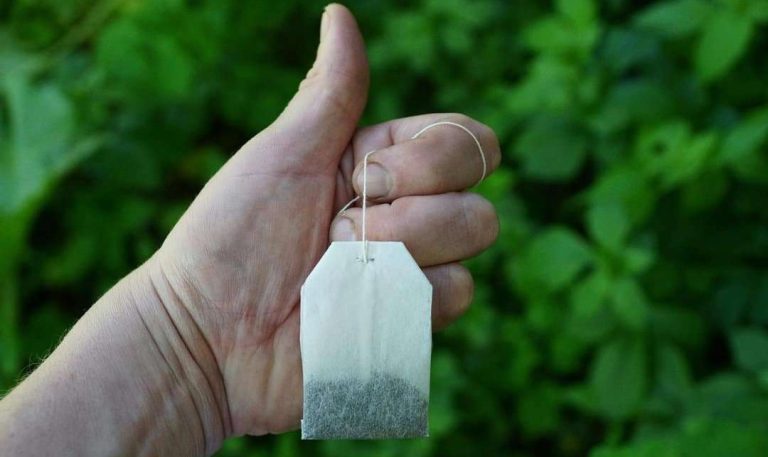 how to use tea bags to keep mice away