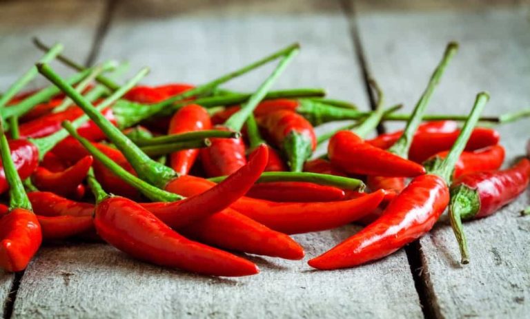 how to make a homemade pepper mouse repellent