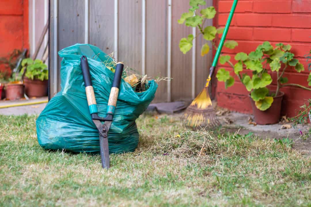 preventive measures to keep mice away