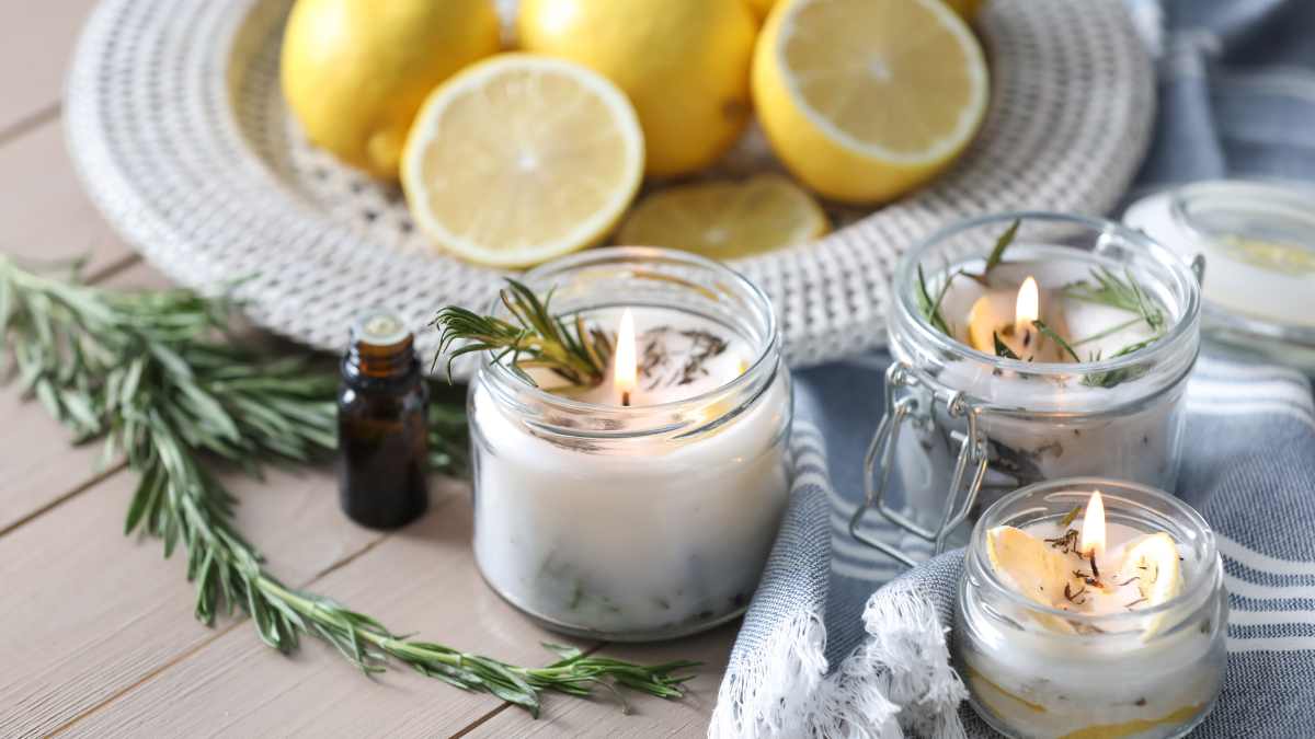 scents that will deter mice from your living room