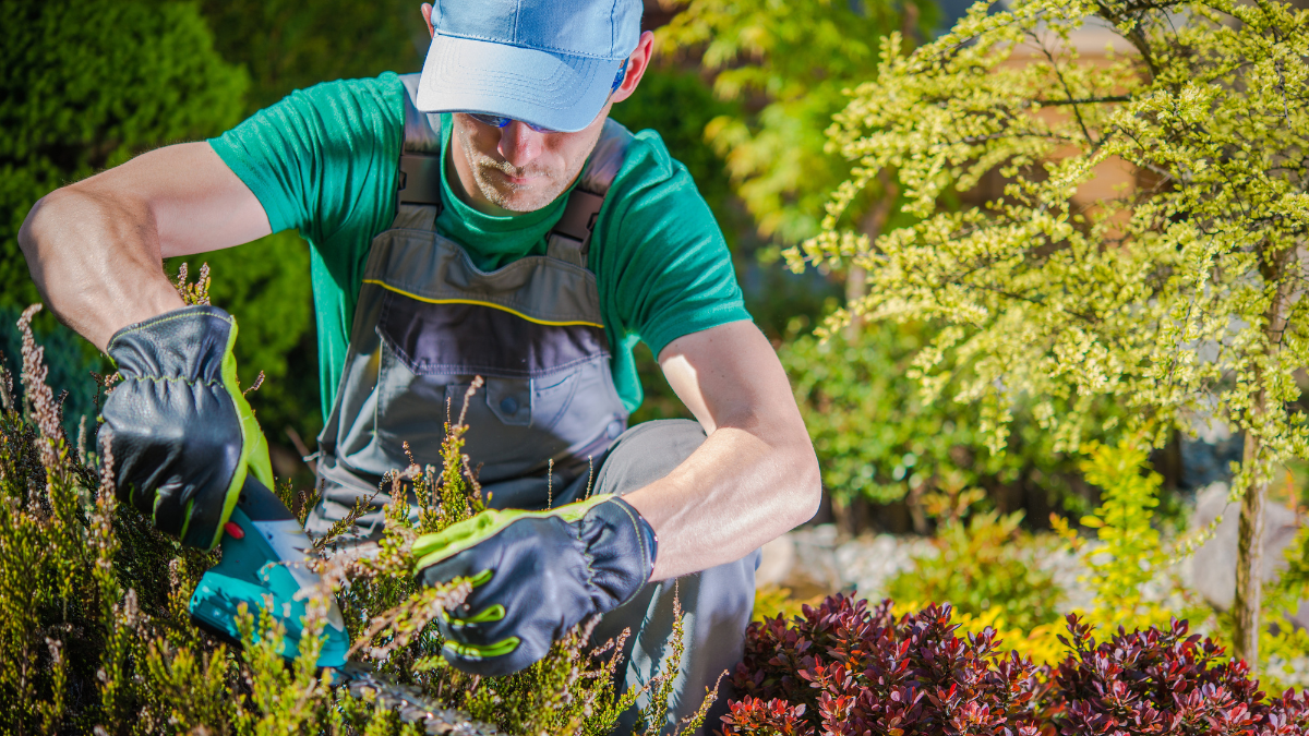 garden pest control -man in garden