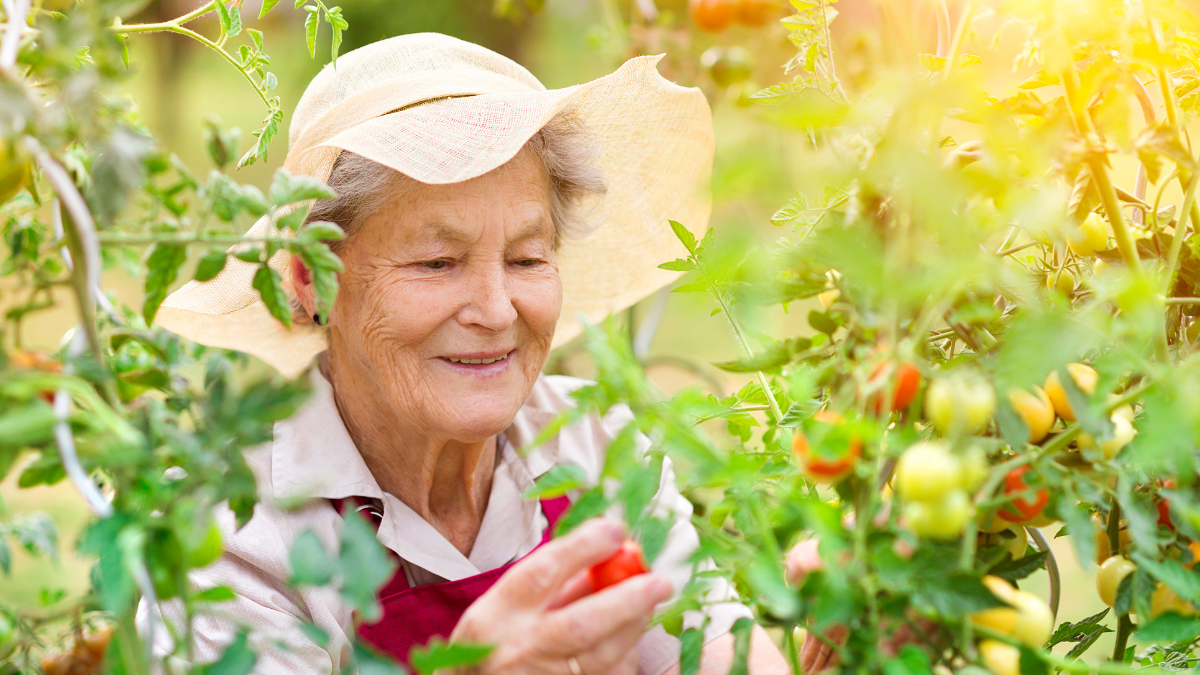 garden pest control -old woman in garden