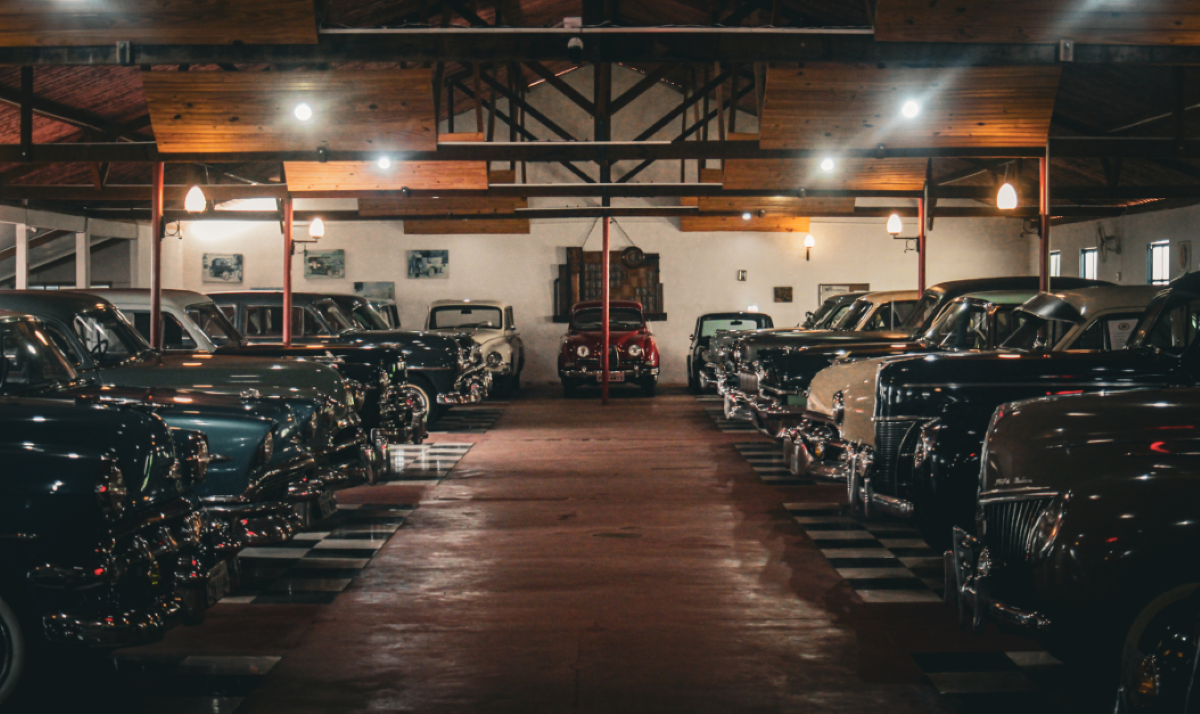 pest control for car - vintage collection