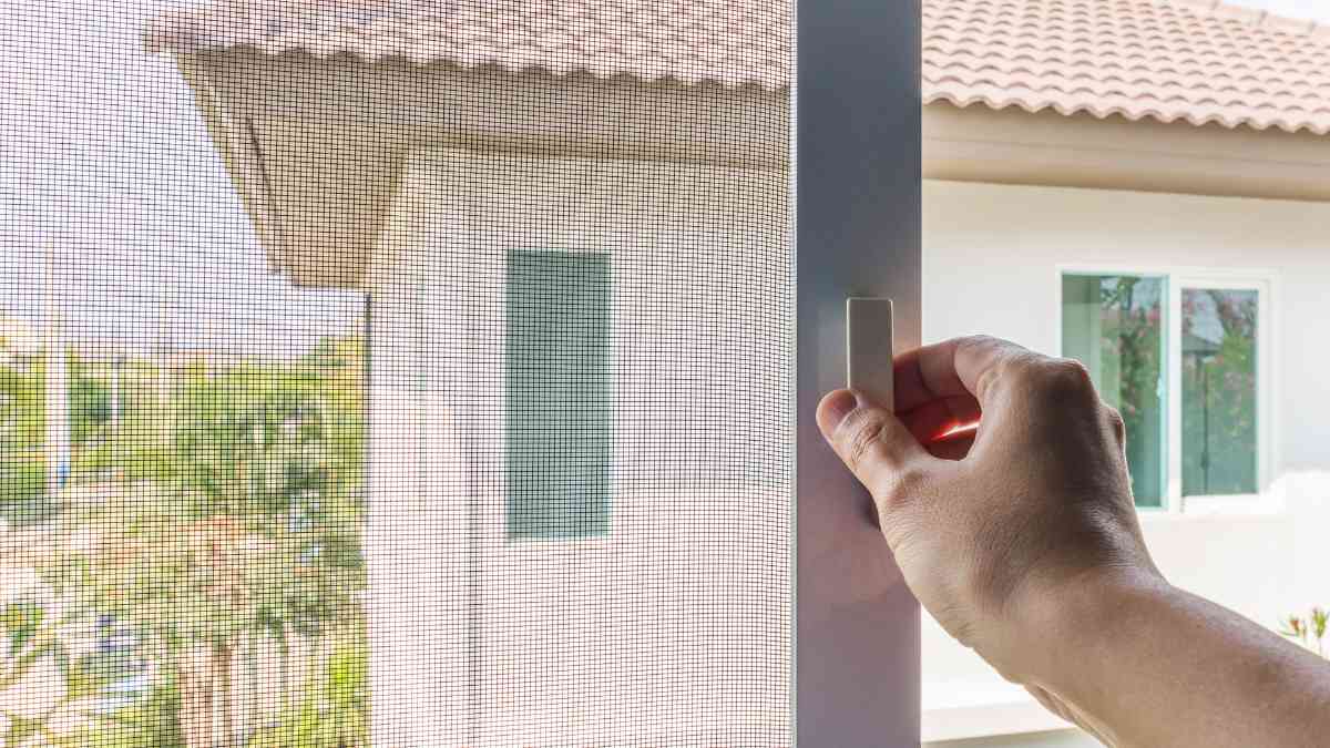 Best Child-Safe Pest Control Solutions For Parents 3 Safety of children against pests
