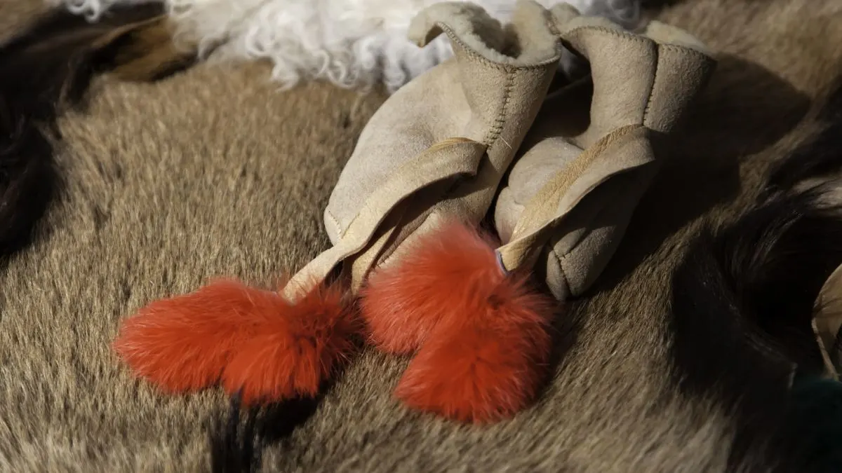 Carpet bugs - animals products attract bugs