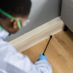 Preventive pest control