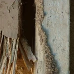 Termite mud tubes
