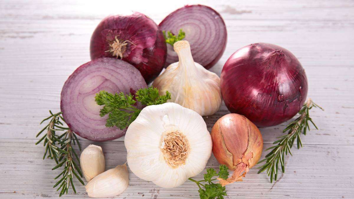 Ways to repel ground moles - onion and garlic