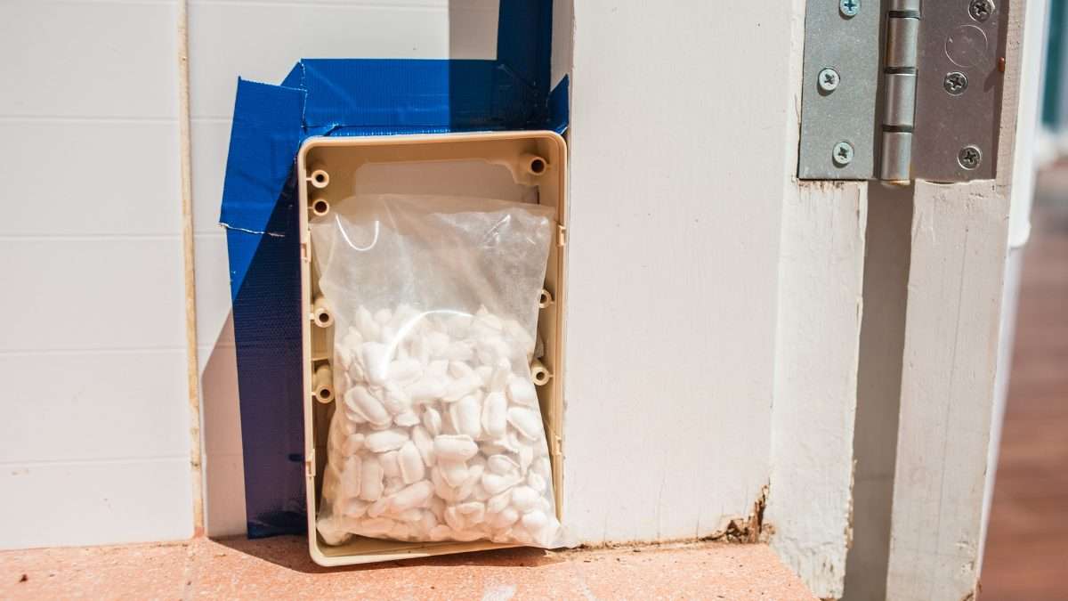 White ant treatment cost - eco-friendly solution