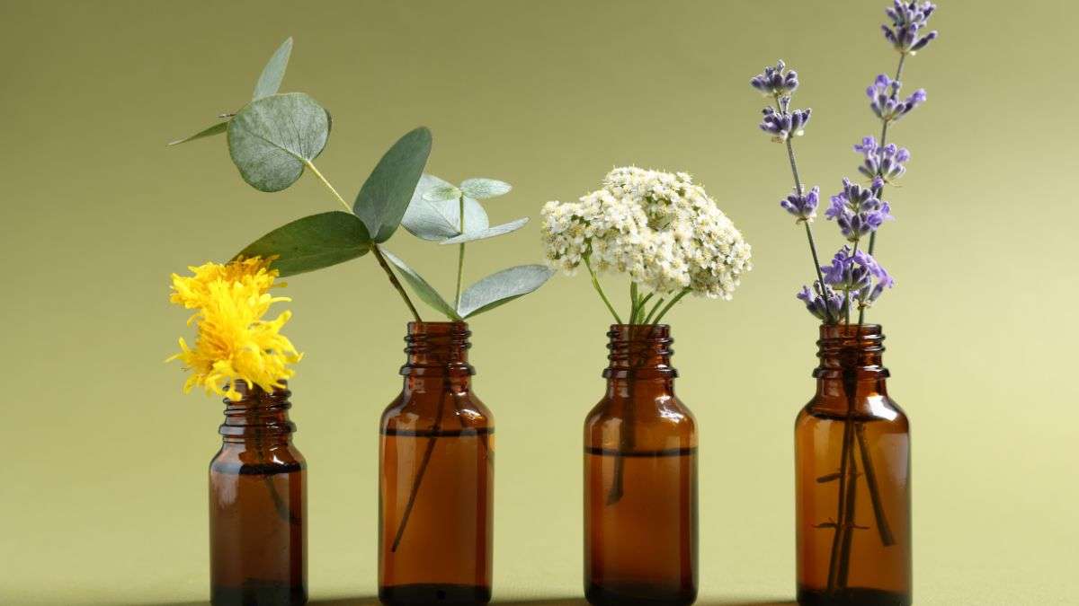 essential oils that mice find unpleasant