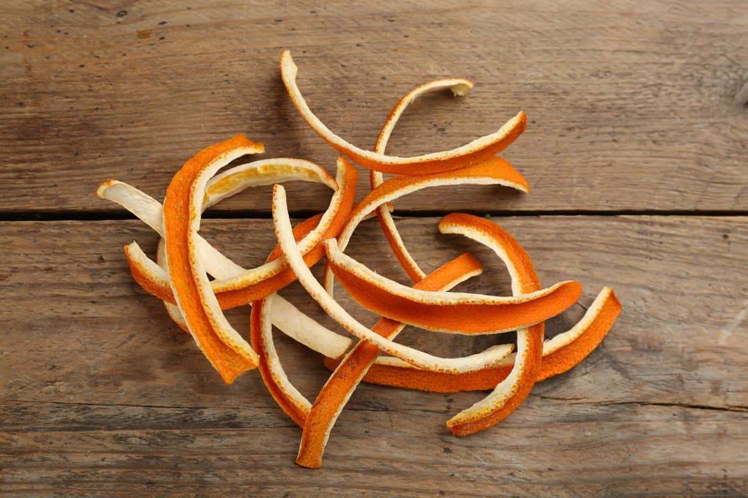 citrus to repel mice