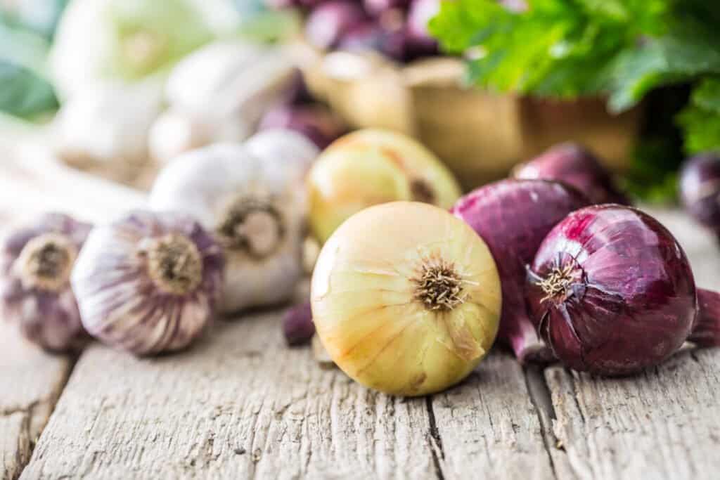 onions to repel mice