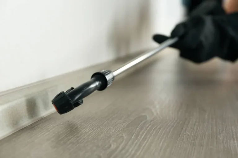 Best bed bug killer: insecticide sprayed along a baseboard