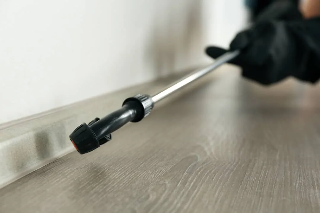 Best bed bug killer: insecticide sprayed along a baseboard