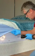 How to get rid of bed bugs permanently: checking a mattress with a flashlight