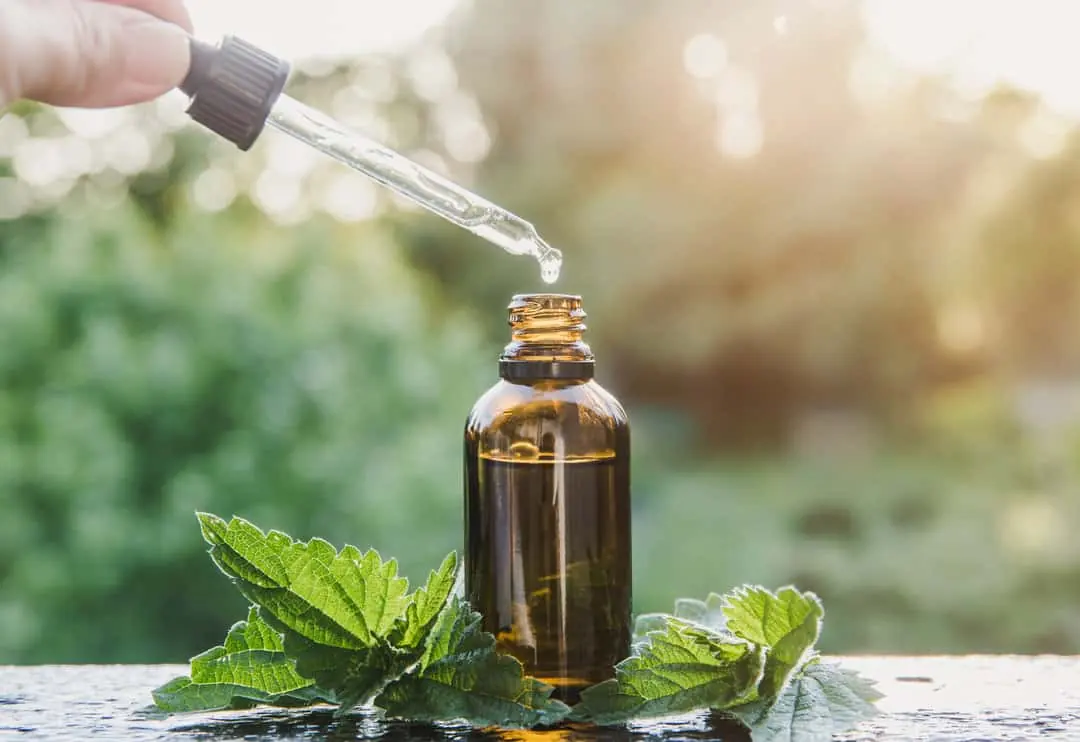 Dropper with peppermint essential oil, how to use peppermint oil for mice