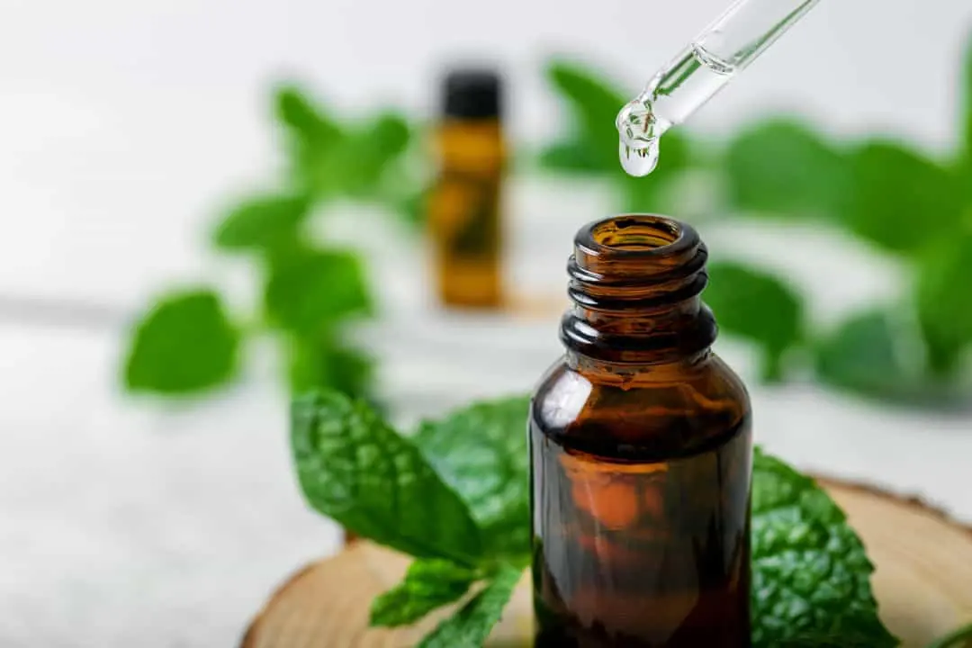 Dropper adding peppermint oil to a bottle with fresh mint, how to make an easy mice repellent using peppermint oil