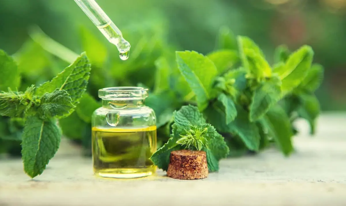 Bottle of peppermint essential oil used to make a DIY mice repellent