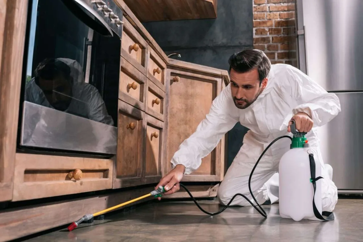Pest control worker spraying insecticide along kitchen cabinets